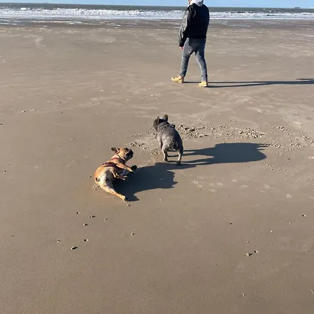 Lägenhet Zeebries Blankenberge